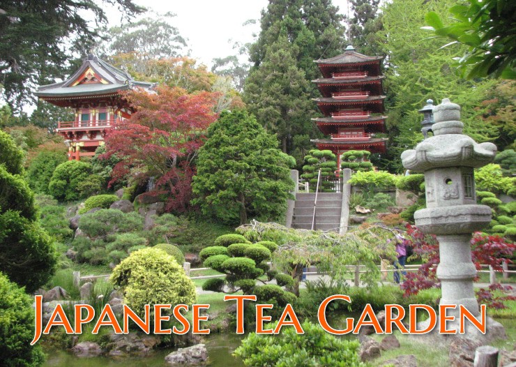 San Francisco Japanese Tea Garden