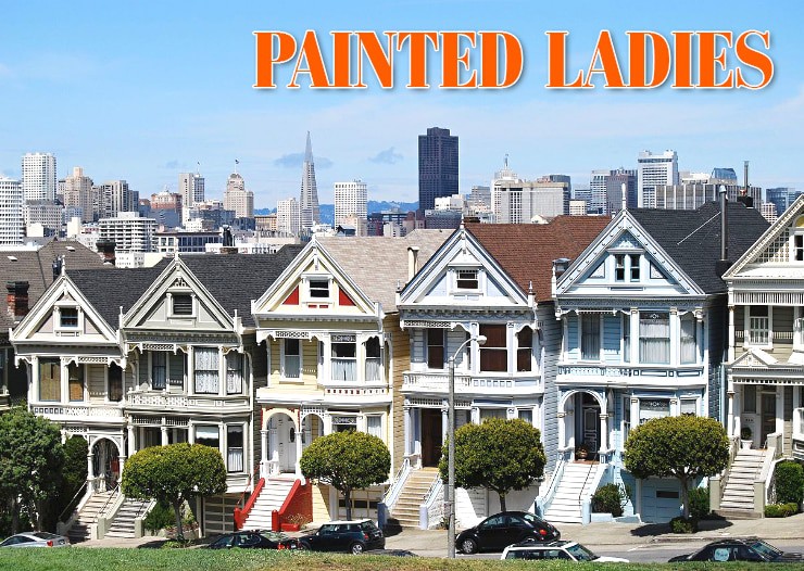 San Francisco Painted Ladies