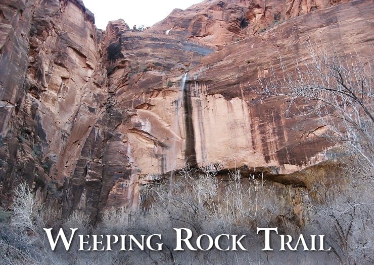 Weeping Rock in Zion National Park