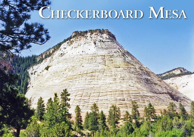 Checkerboard Mesa in Zion National Park