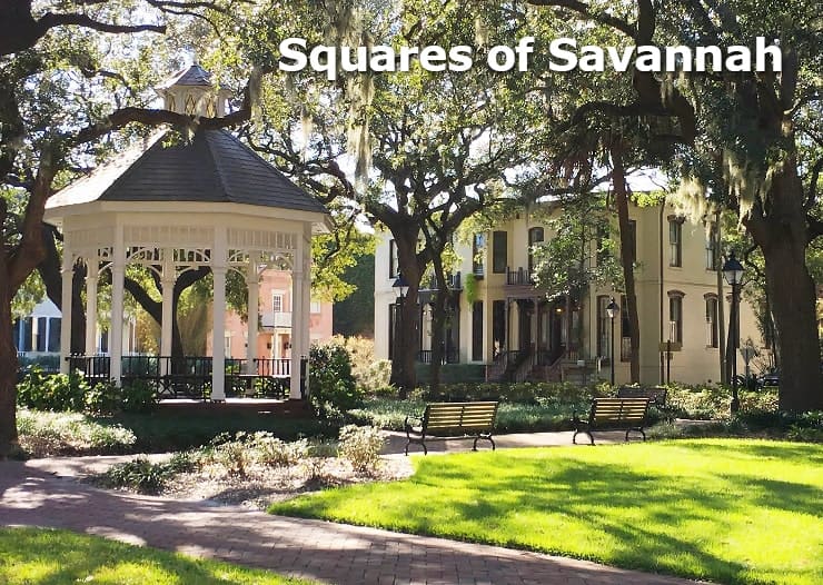 Savannah Squares