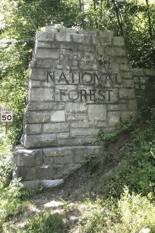 pisgah national forest entrance