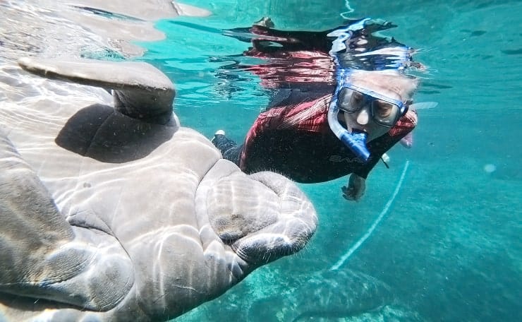 The GloveTrotters Swimming with the Manatees