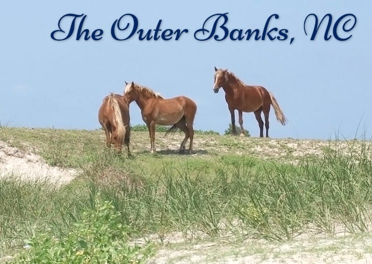 The Outer Banks North Carolina