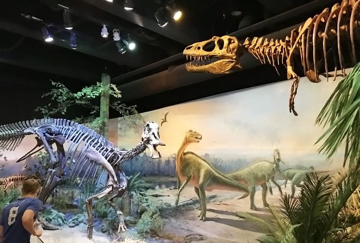 NC Museum of Natural Sciences - Prehistoric North Carolina