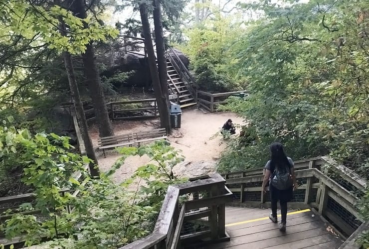 Chimney Rock Park - Vista Rock Stairs
