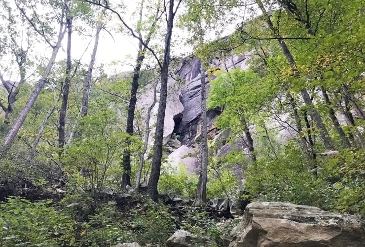 Chimney Rock Park - Hickory Nut Falls Trail Rock Face