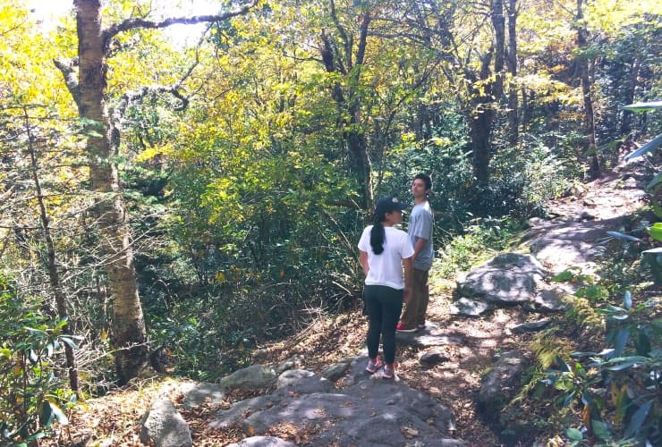 Grandfather Mountain Trails - Hiking