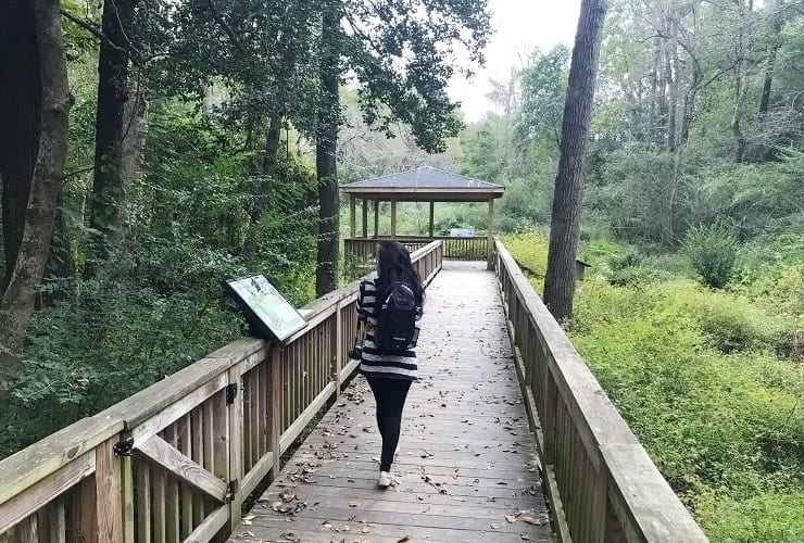 Sylvan Heights Bird Park - North Carolina - Nature Walkway Ramp