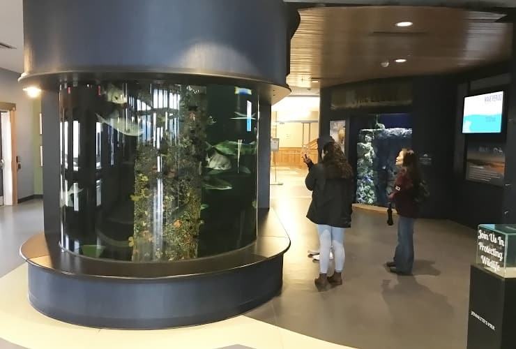 Jennette’s Pier Aquarium Entrance