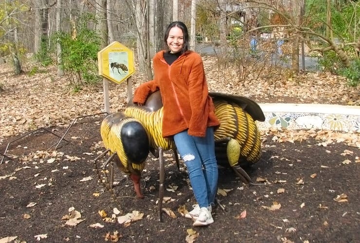 North Carolina Zoo - Honey Bee Garden Oversized Bee