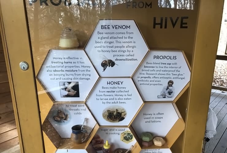 North Carolina Zoo - Honey Bee Garden Educational Exhibit