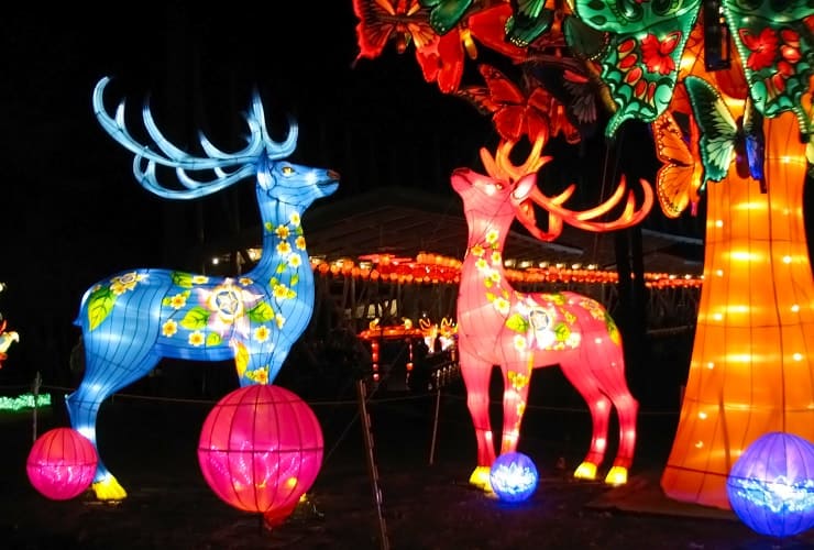 Chinese Lantern Festival - Père David’s Deer detail