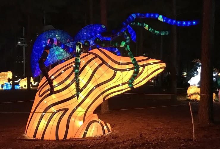 Chinese Lantern Festival - Tarantula