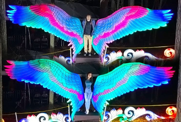 Chinese Lantern Festival - Dream Wings