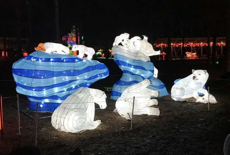 Chinese Lantern Festival - Polar Bears