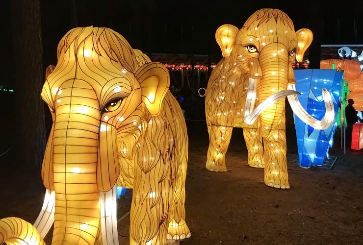 Chinese Lantern Festival -