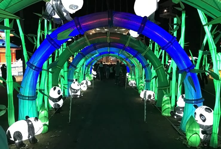 Chinese Lantern Festival - Panda Tunnel