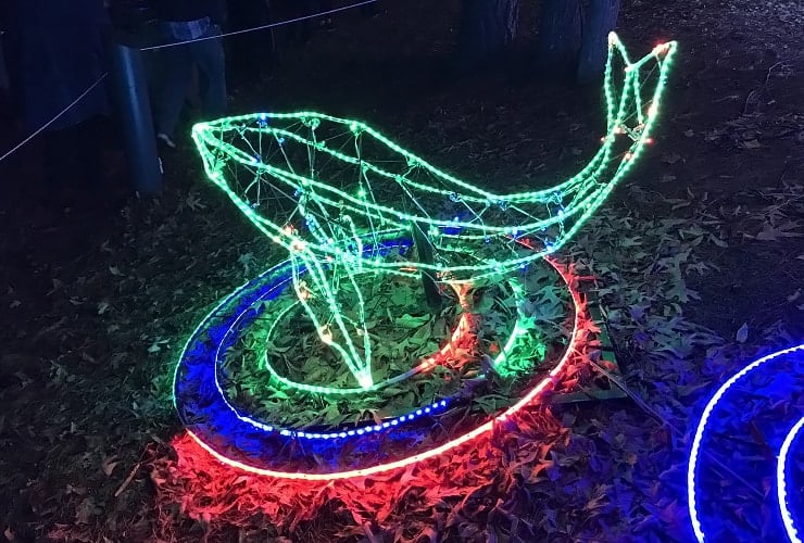 Chinese Lantern Festival - Colorful Ripples Whale