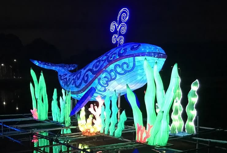 Chinese Lantern Festival - Whale