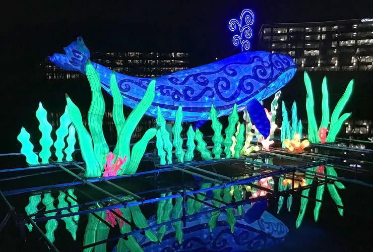Chinese Lantern Festival - Whale