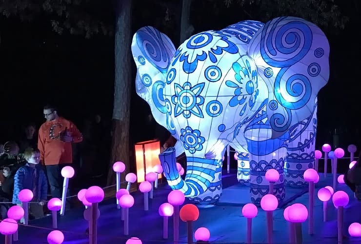Chinese Lantern Festival - Color Changing Elephant