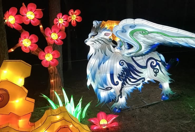 Chinese Lantern Festival - Fu Zhu
