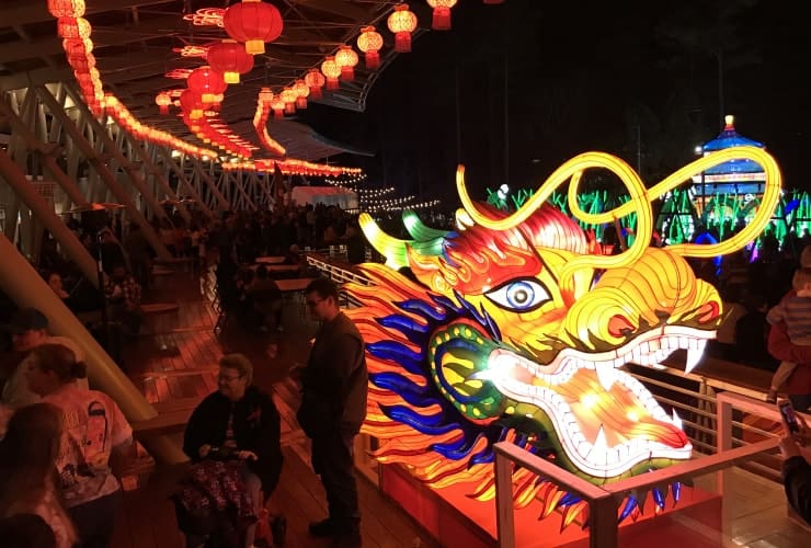 Chinese Lantern Festival - Dragon