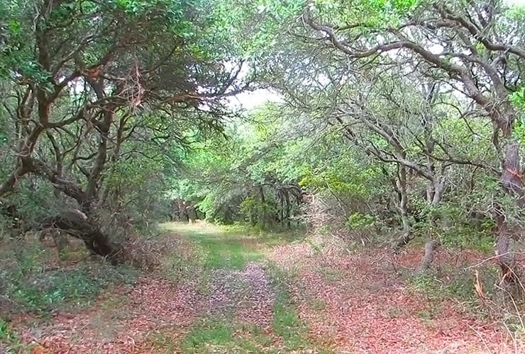 Audubon Pine Island Sanctuary and Center Hiking