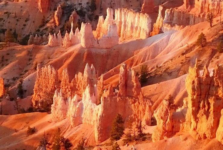 Early morning hoodoos in Bryce Canyon as seen from Sunset Point