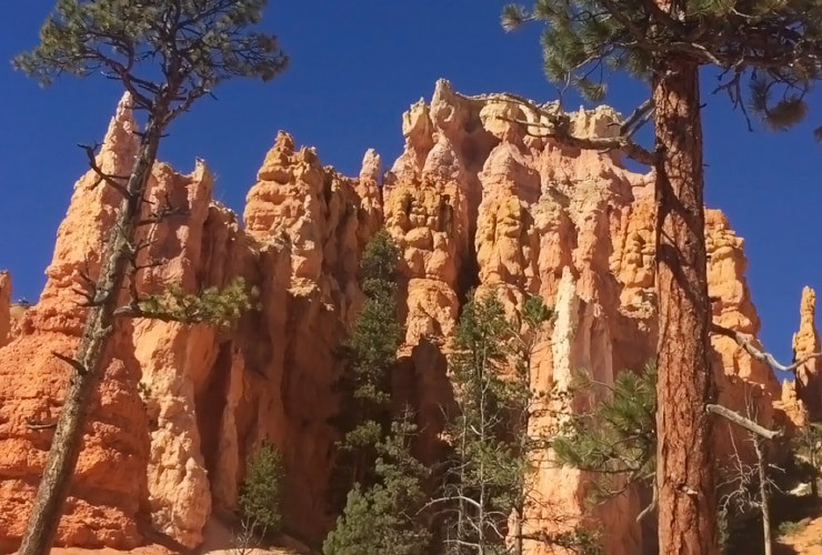 bryce_canyon_11_queens_trail_04
