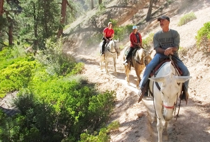 Riding Horseback at Bryce Canyon
