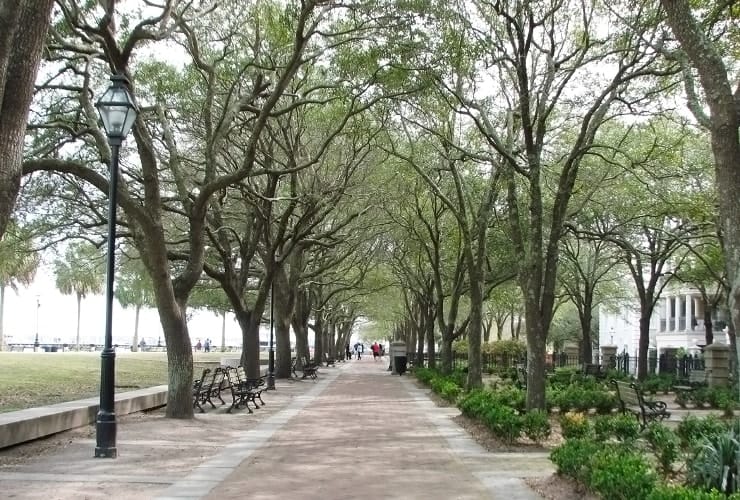 Charleston South Carolina Waterfront Park Trees