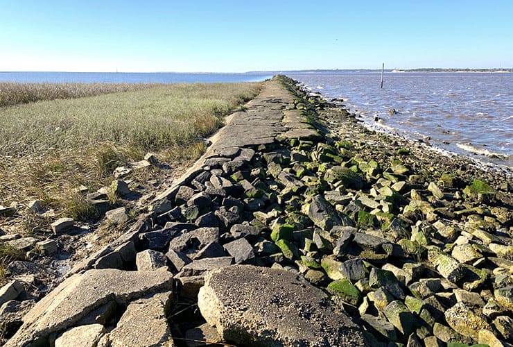 15 Things to do in Kure Beach - Algae on The Rocks at Fort Fisher