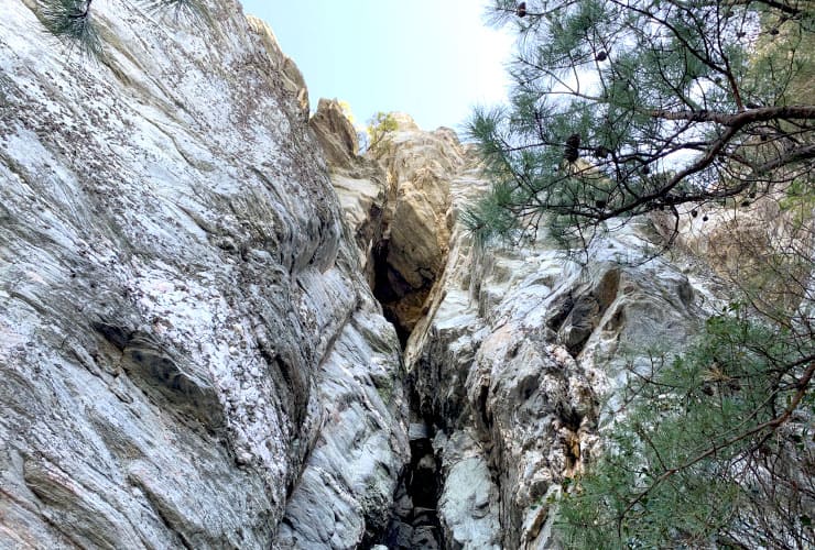 Mountain Crevice Fissure