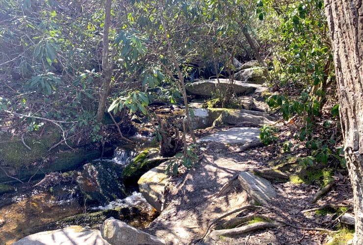 Path above Hidden Falls
