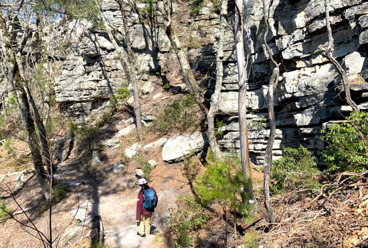 Cliff Face Ledge Springs Trail