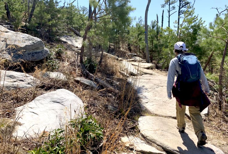 Grindstone trail Flat Rock Steps