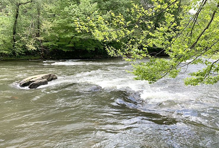 Whitewater on the Tuckasegee River