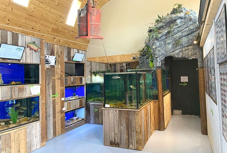 Appalachian Rivers Aquarium Interior