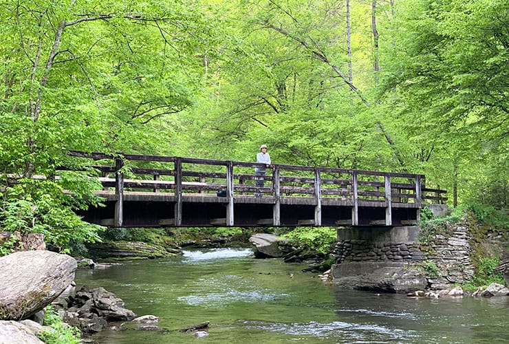 Deep Creek Trail Bridge