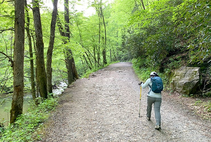 Deep Creek Trail Wide Path