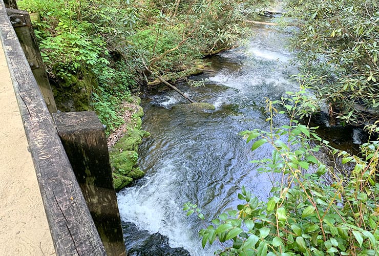 View From Bridge Above Indian Creek Falls