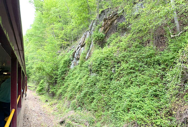 Sheer Cliffs Seen From the Great Smoky Mountains Railroad