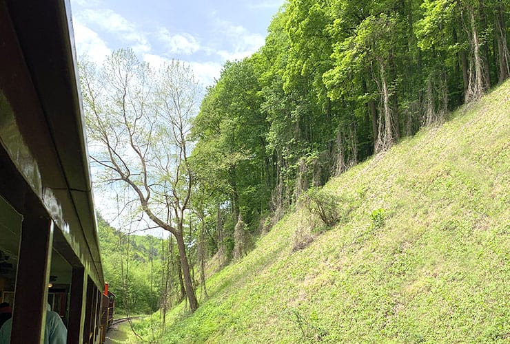 Steep Grassy Cliffs on the Great Smoky Mountains Railroad