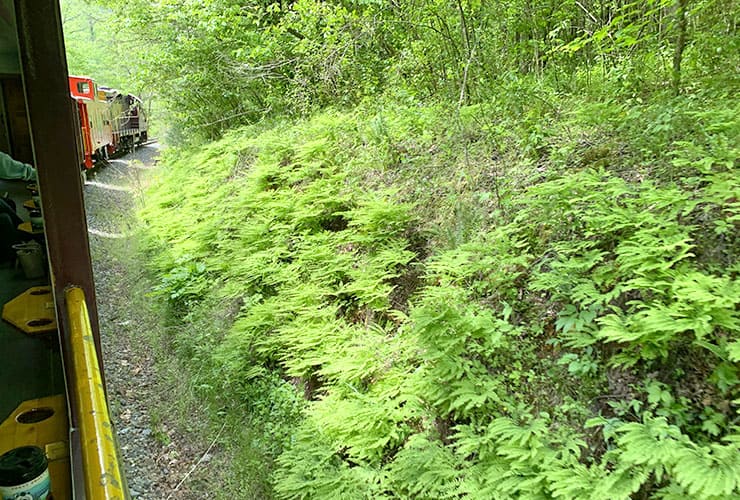 Great Smoky Mountains Railroad Natural Beauty