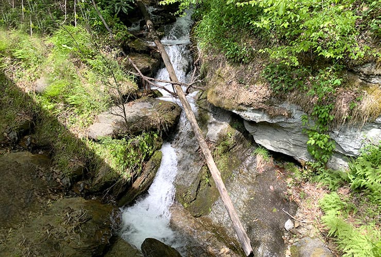 Great Smoky Mountains Railroad Mini Waterfalls