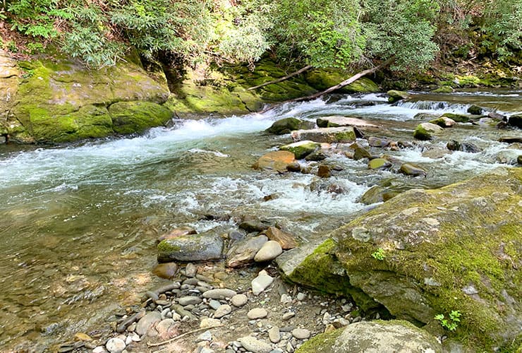 Boulders & Whitewater on Deep Creek Trail