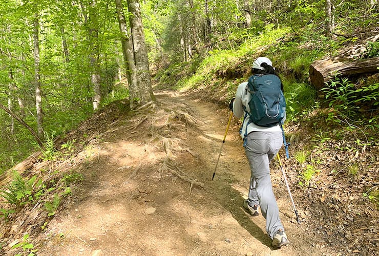 Steep Portion of the Deep Creek Horse Trail