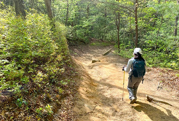 Downhill Portion of the Deep Creek Horse Trail